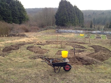 a few more beds to go