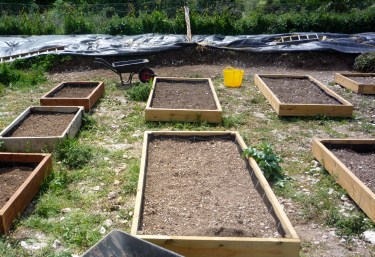 building raised beds