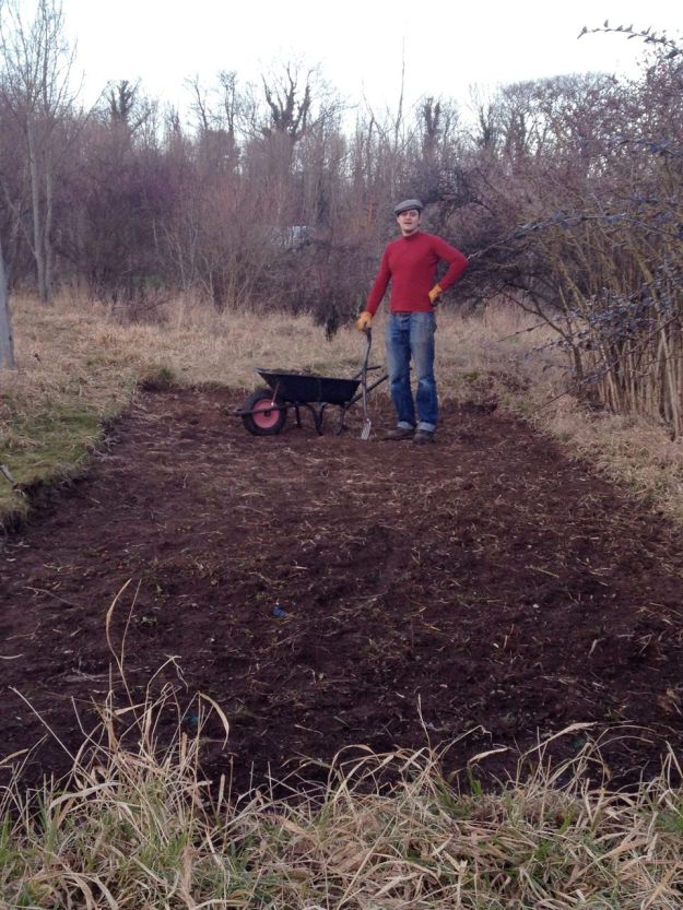Bax has nearly finished the new veg patch